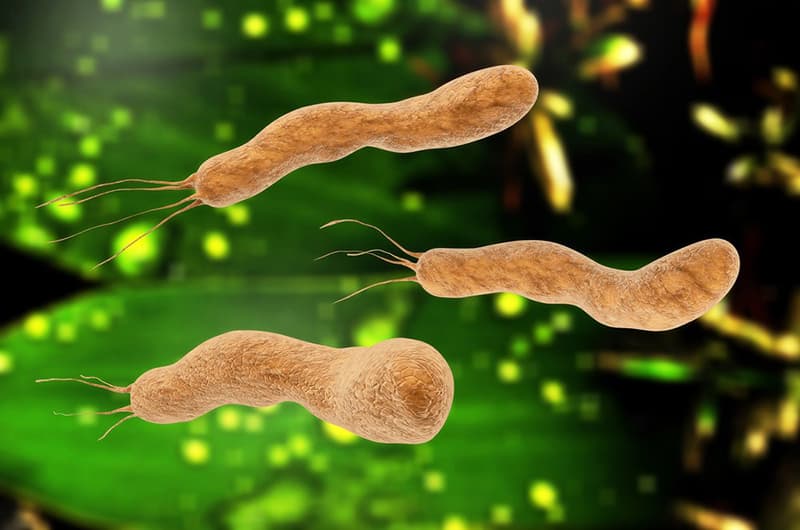 ORDER HÀNG HÀN QUỐC VI KHUẨN HELICOBACTER PYLORI: MỐI LIÊN KẾT VỚI BỆNH LÝ DẠ DÀY VÀ PHƯƠNG PHÁP PHÁT HIỆN