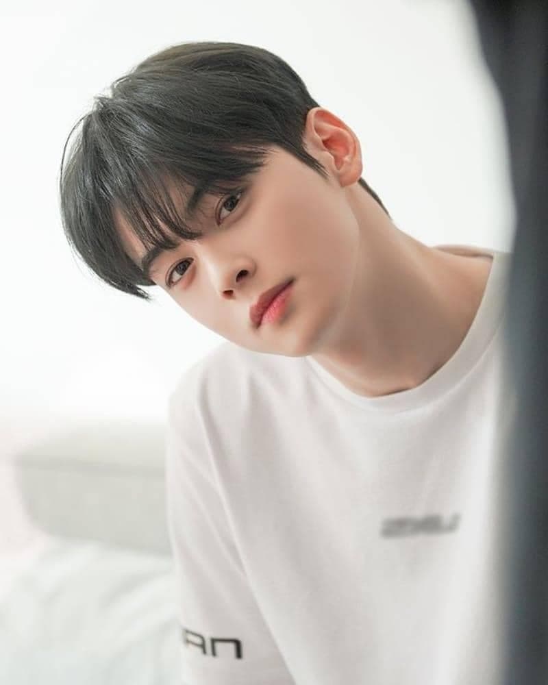 ORDER HÀNG HÀN QUỐC CHA EUN WOO THẮP SÁNG NHẬT BẢN VỚI BUỔI FANCON ENCORE “MYSTERY ELEVATOR”