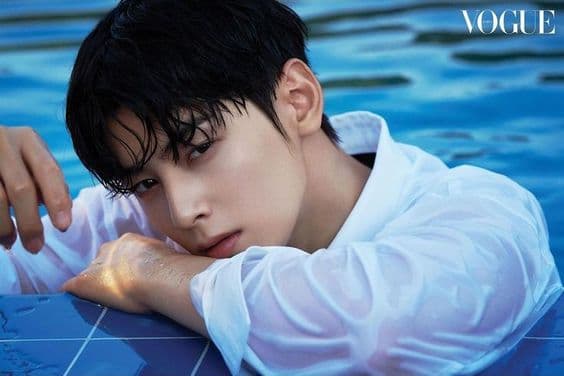 ORDER HÀNG HÀN QUỐC CHA EUN WOO & NGÔI SAO HOLLYWOOD DỰ KIẾN GÓP MẶT TẠI WATERBOMB SEOUL 2024